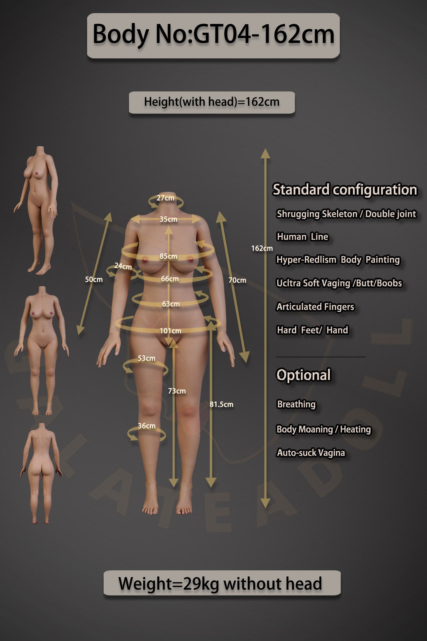 Galatea Doll - US IN Stock 162cm/5ft4 D Cup Full Silicone Asian Sex Doll - Ada